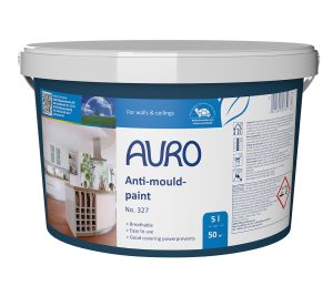 Anti-mould paint